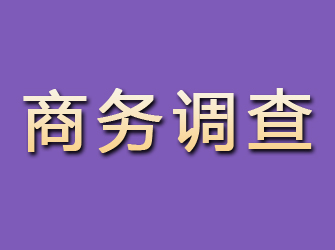 二道江商务调查